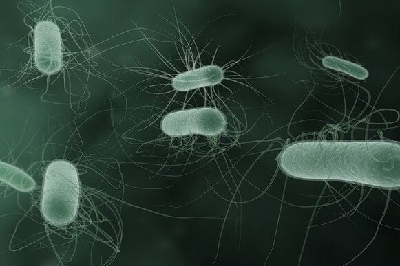 Microorganisms cause disease when stimulated